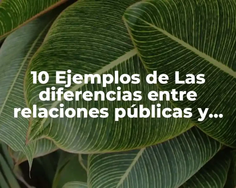 10 Ejemplos de Las diferencias entre relaciones públicas y marketing