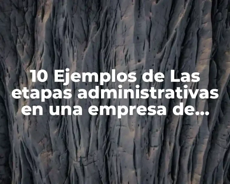 10 Ejemplos de Las etapas administrativas en una empresa de belleza