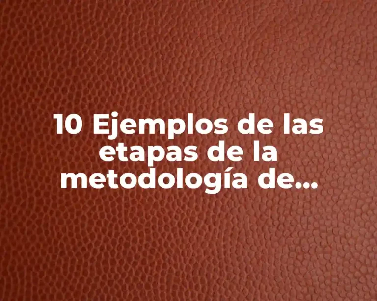 10 Ejemplos de las etapas de la metodología de checkland