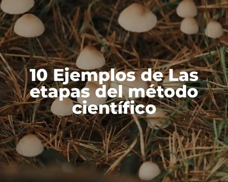 10 Ejemplos de Las etapas del método científico