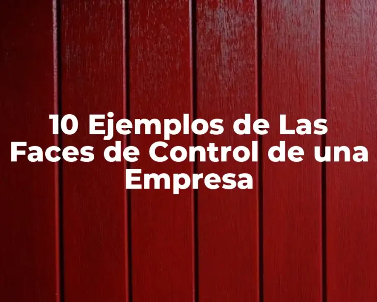 10 Ejemplos de Las Faces de Control de una Empresa
