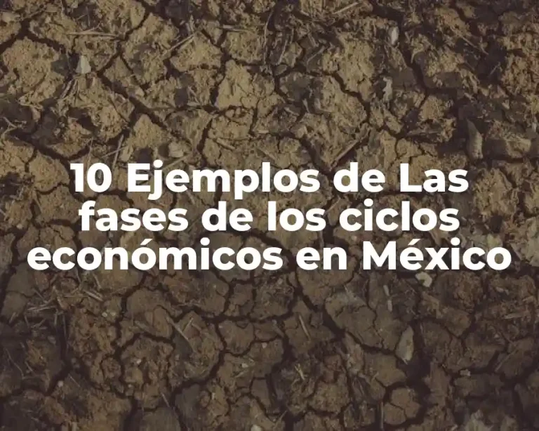 10 Ejemplos de Las fases de los ciclos económicos en México