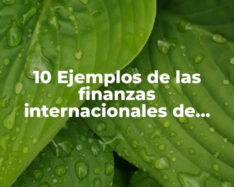 10 Ejemplos de las finanzas internacionales de méxico y el mundo