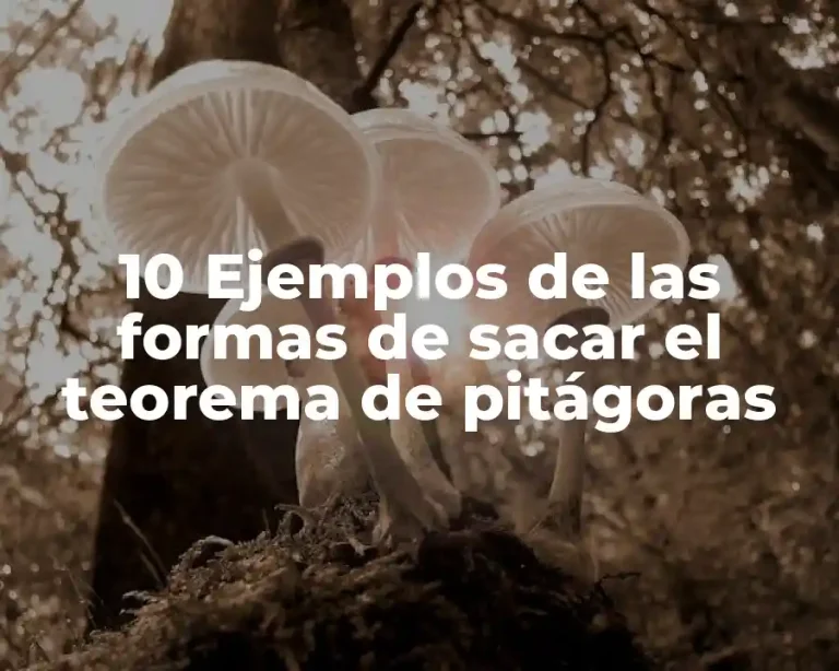 10 Ejemplos de las formas de sacar el teorema de pitágoras