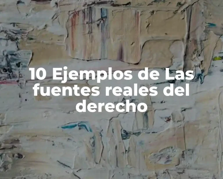 10 Ejemplos de Las fuentes reales del derecho