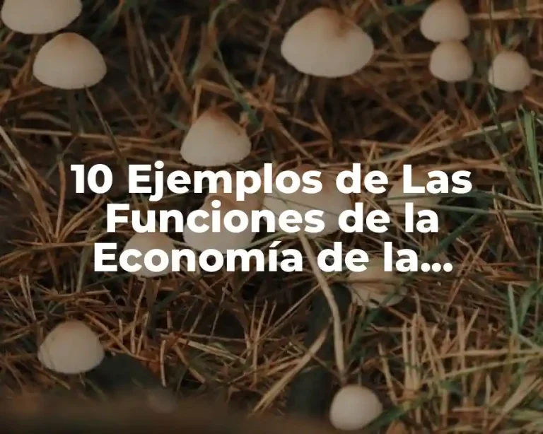 10 Ejemplos de Las Funciones de la Economía de la Educación