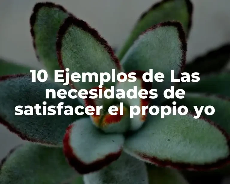 10 Ejemplos de Las necesidades de satisfacer el propio yo