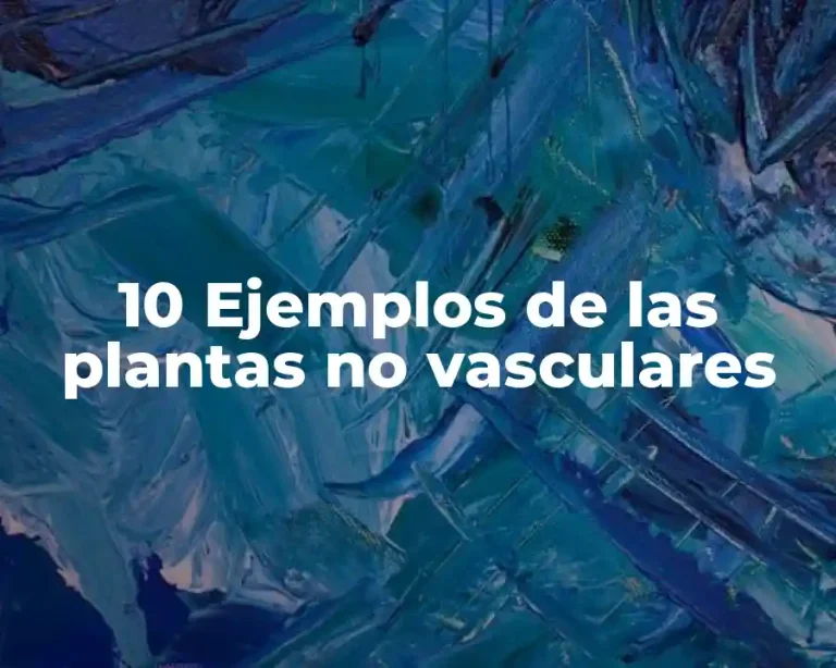 10 Ejemplos de las plantas no vasculares