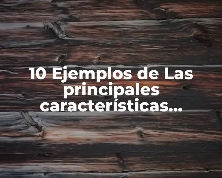 10 Ejemplos de Las principales características cognitivas en la infancia intermedia