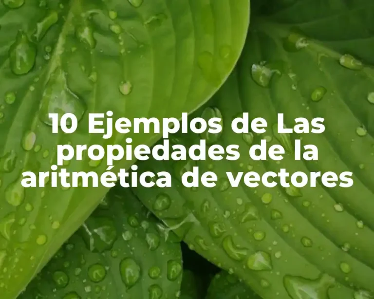 10 Ejemplos de Las propiedades de la aritmética de vectores