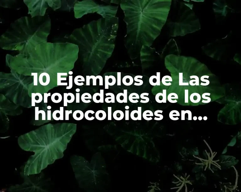 10 Ejemplos de Las propiedades de los hidrocoloides en alimentos