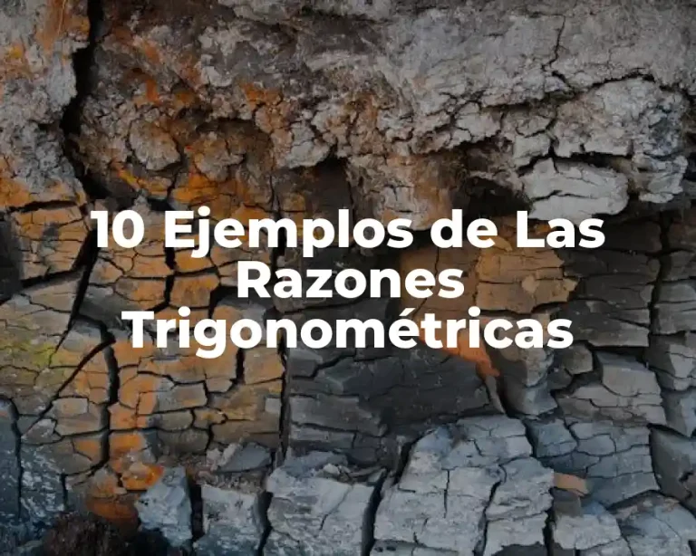 10 Ejemplos de Las Razones Trigonométricas