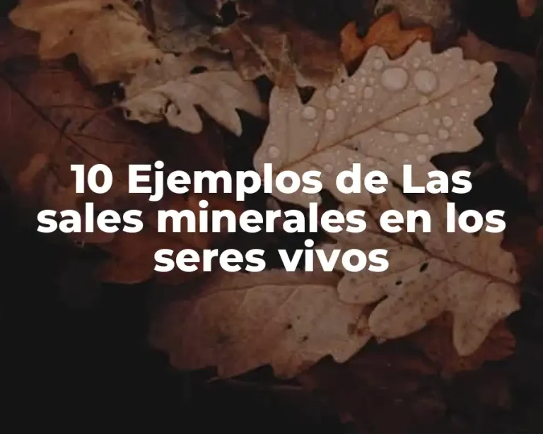 10 Ejemplos de Las sales minerales en los seres vivos