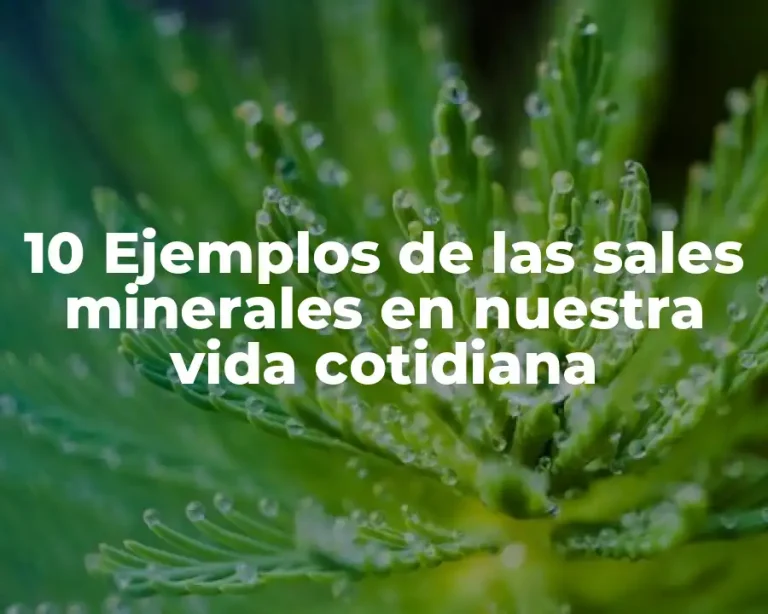 10 Ejemplos de las sales minerales en nuestra vida cotidiana