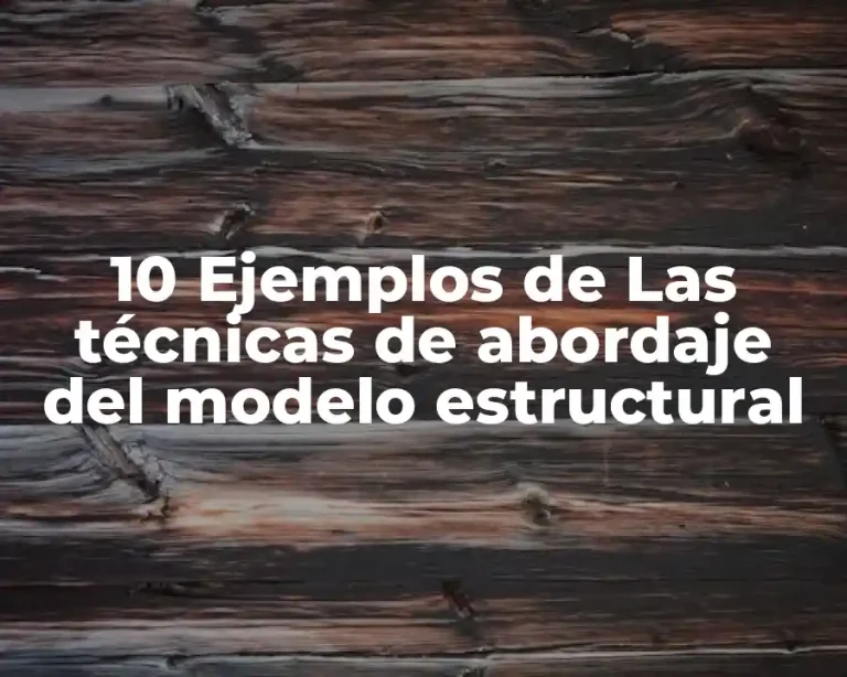 10 Ejemplos de Las técnicas de abordaje del modelo estructural