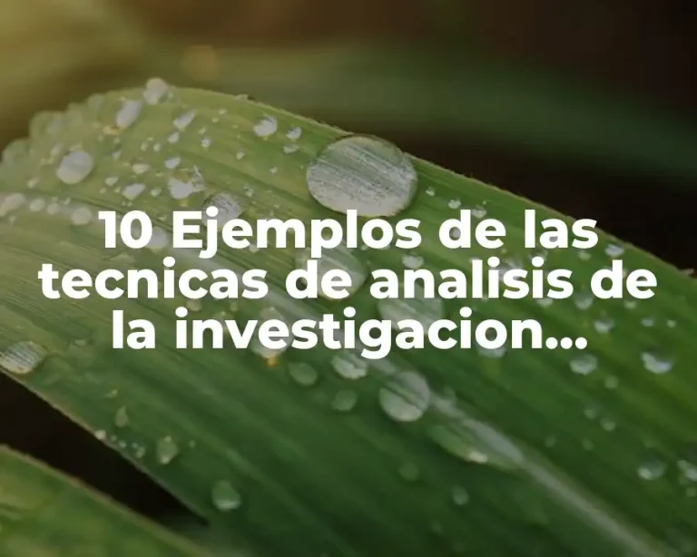 10 Ejemplos de las tecnicas de analisis de la investigacion documental