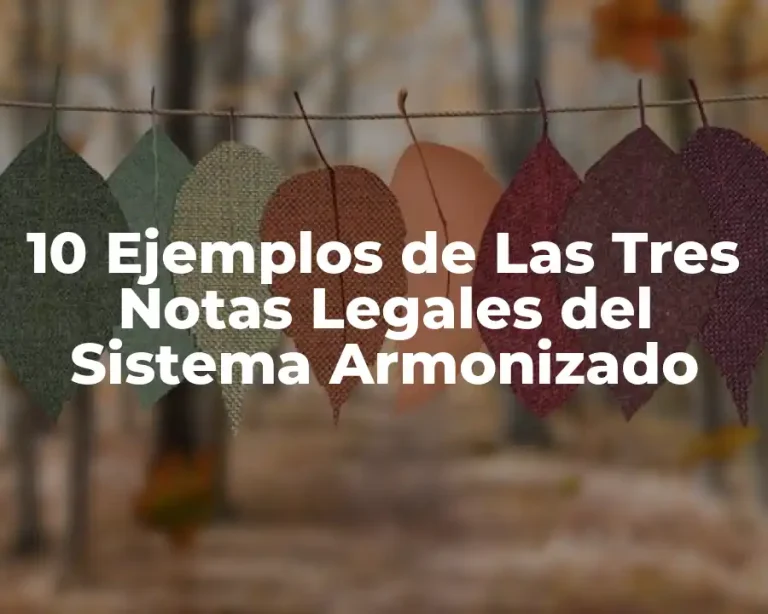 10 Ejemplos de Las Tres Notas Legales del Sistema Armonizado