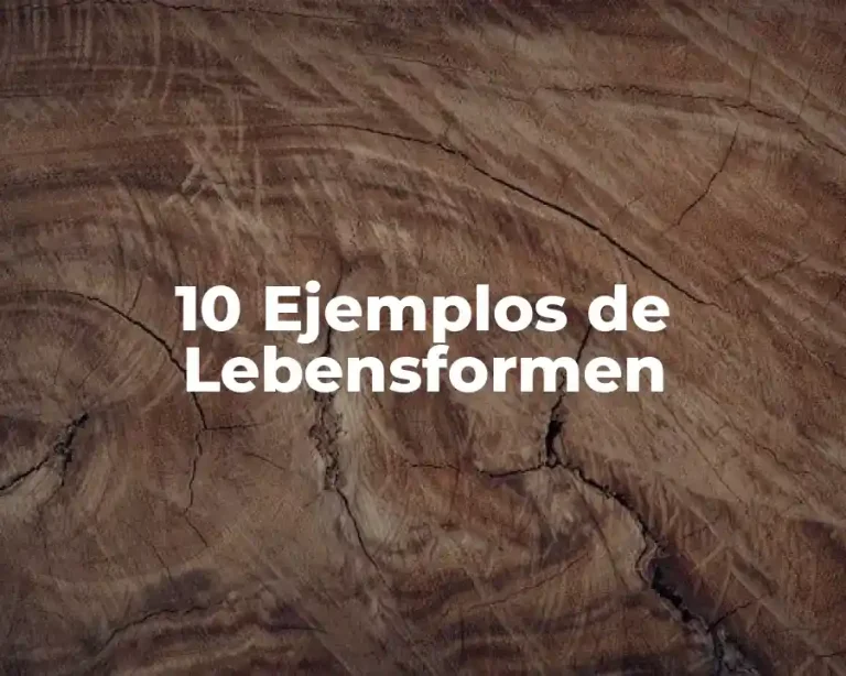 10 Ejemplos de Lebensformen