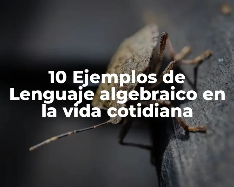 10 Ejemplos de Lenguaje algebraico en la vida cotidiana