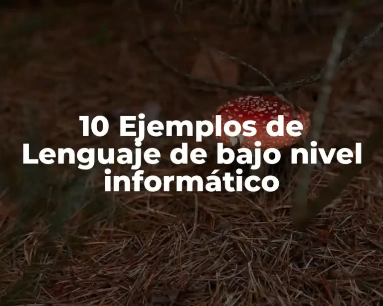 10 Ejemplos de Lenguaje de bajo nivel informático