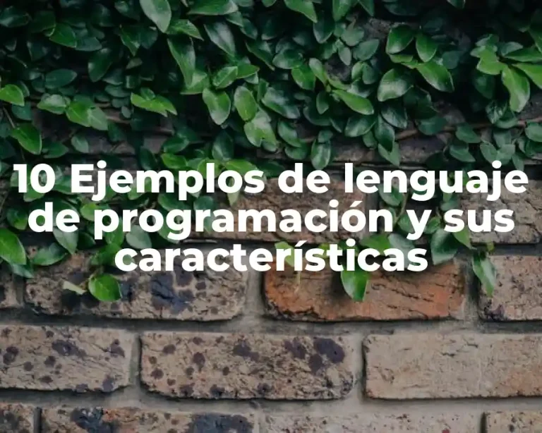 10 Ejemplos de lenguaje de programación y sus características