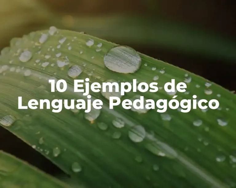 10 Ejemplos de Lenguaje Pedagógico