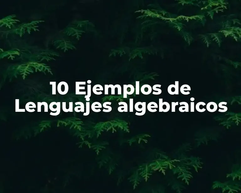 10 Ejemplos de Lenguajes algebraicos