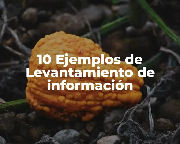 10 Ejemplos de Levantamiento de información