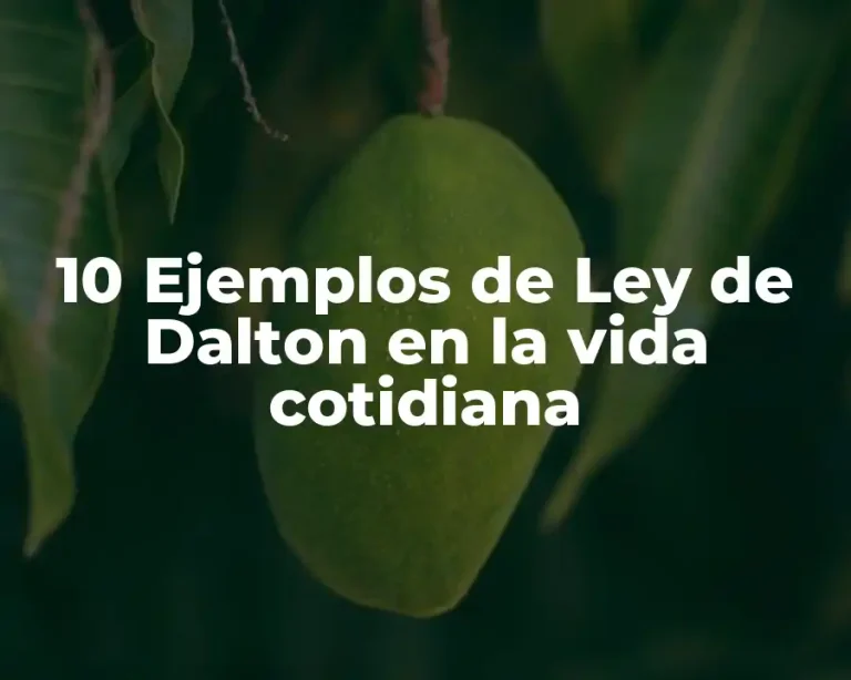 10 Ejemplos de Ley de Dalton en la vida cotidiana
