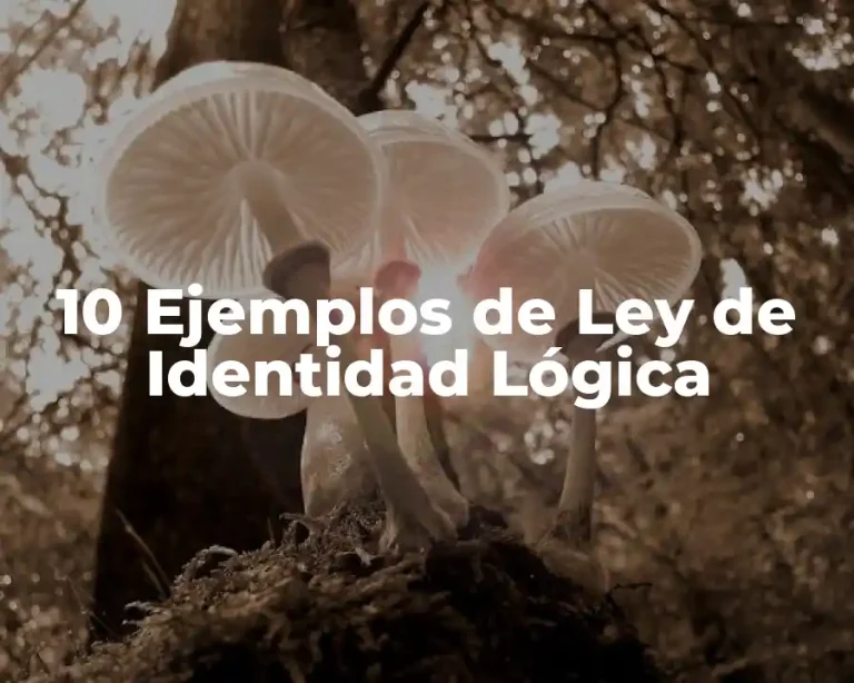 10 Ejemplos de Ley de Identidad Lógica
