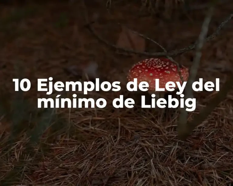 10 Ejemplos de Ley del mínimo de Liebig