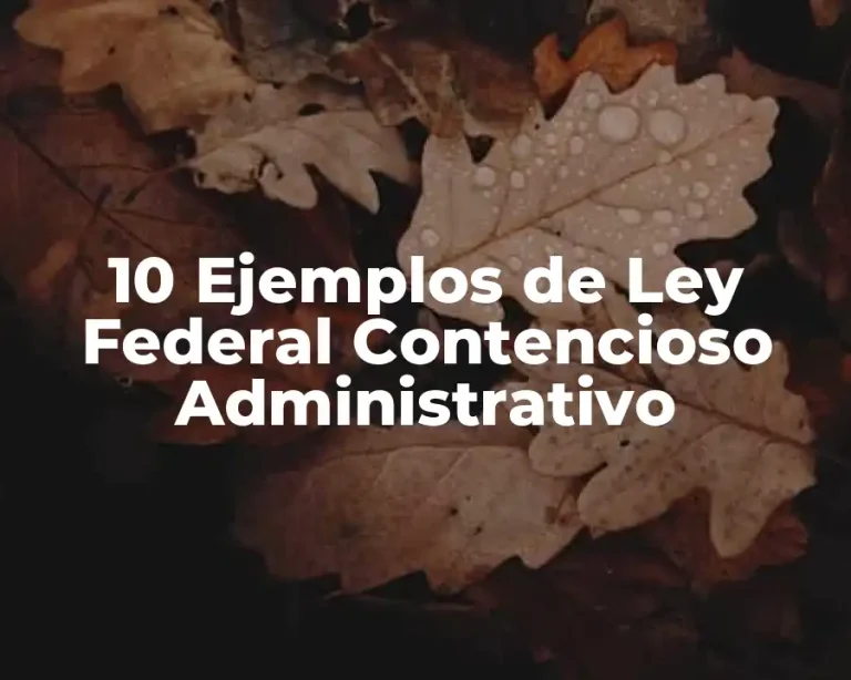 10 Ejemplos de Ley Federal Contencioso Administrativo