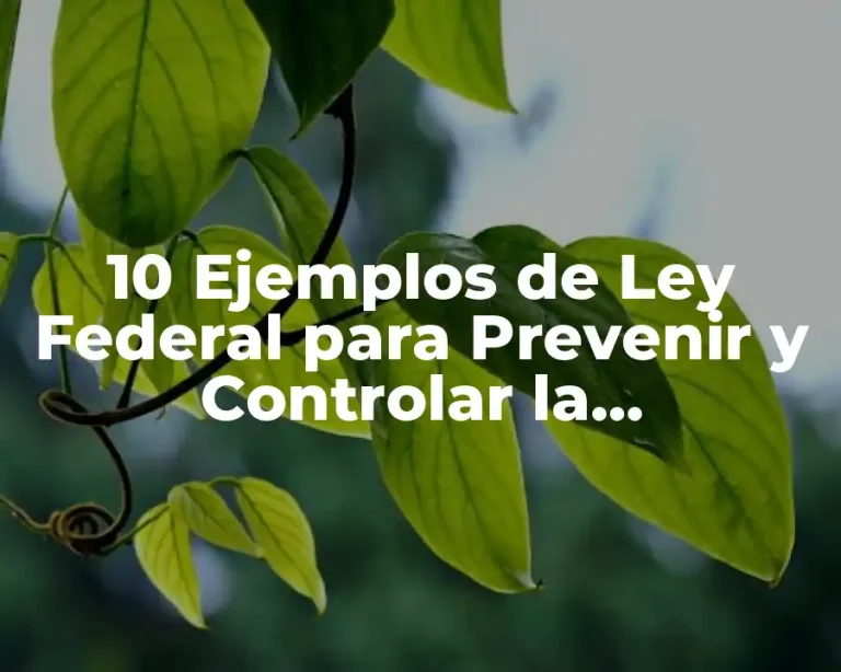 10 Ejemplos de Ley Federal para Prevenir y Controlar la Contaminación Ambiental