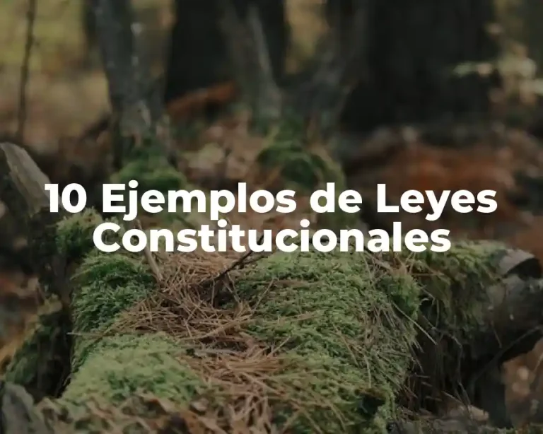 10 Ejemplos de Leyes Constitucionales