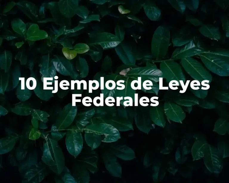 10 Ejemplos de Leyes Federales