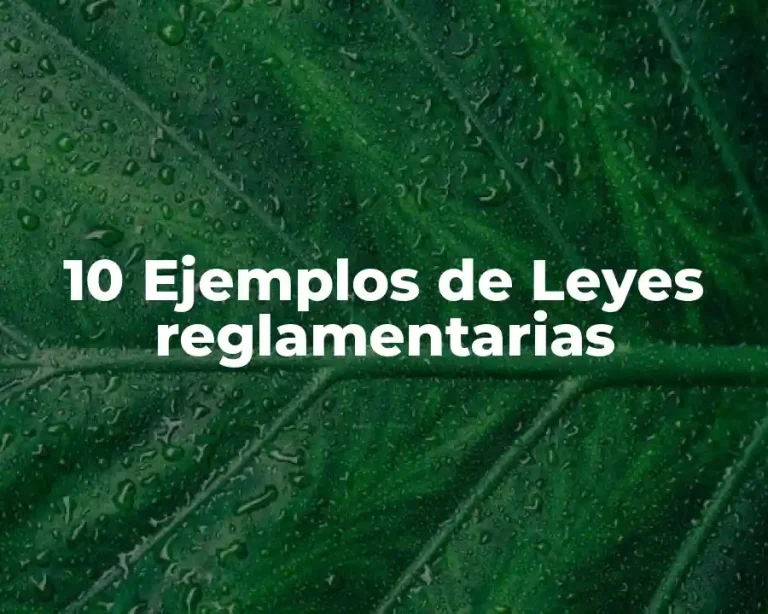 10 Ejemplos de Leyes reglamentarias