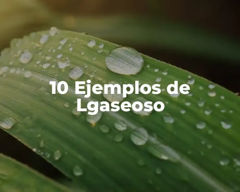 10 Ejemplos de Lgaseoso