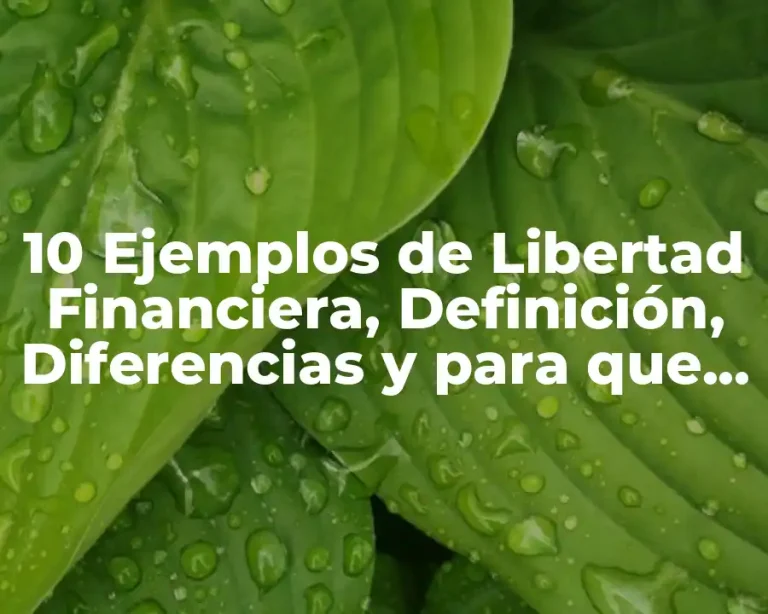 10 Ejemplos de Libertad Financiera, Definición, Diferencias y para que sirve