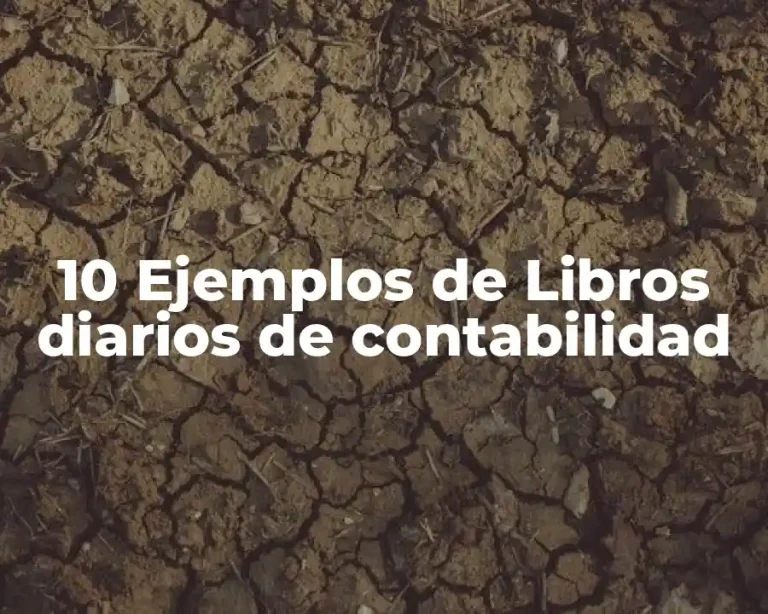 10 Ejemplos de Libros diarios de contabilidad