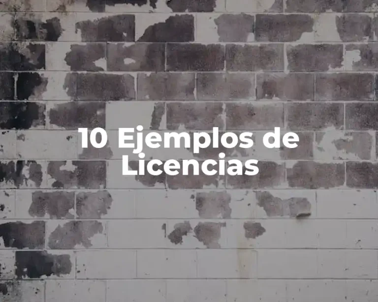 10 Ejemplos de Licencias