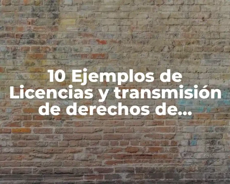 10 Ejemplos de Licencias y transmisión de derechos de propiedad intelectual