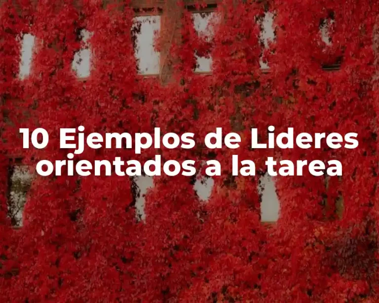 10 Ejemplos de Lideres orientados a la tarea