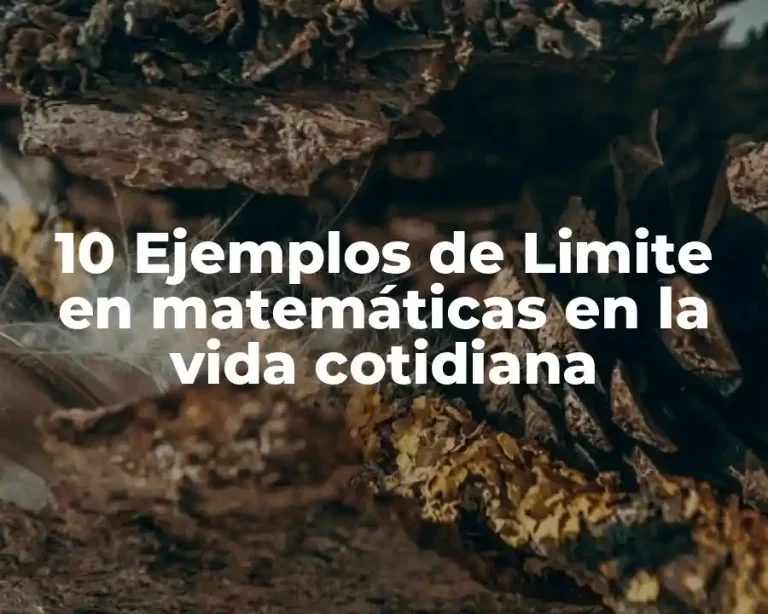 10 Ejemplos de Limite en matemáticas en la vida cotidiana