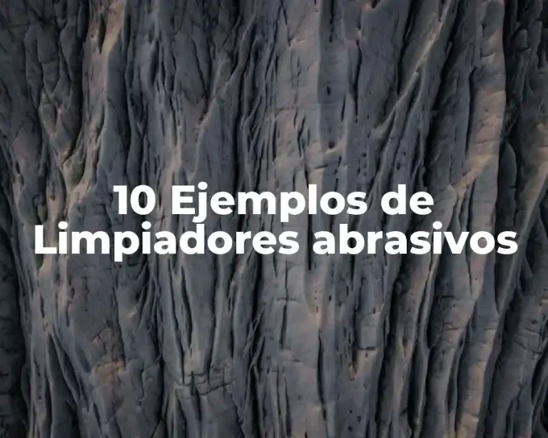 10 Ejemplos de Limpiadores abrasivos