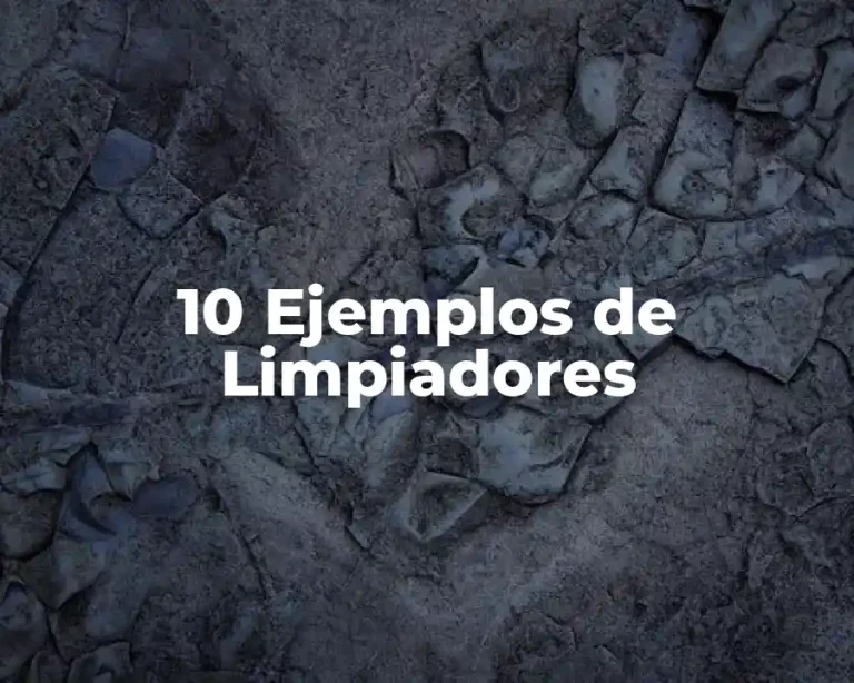 10 Ejemplos de Limpiadores