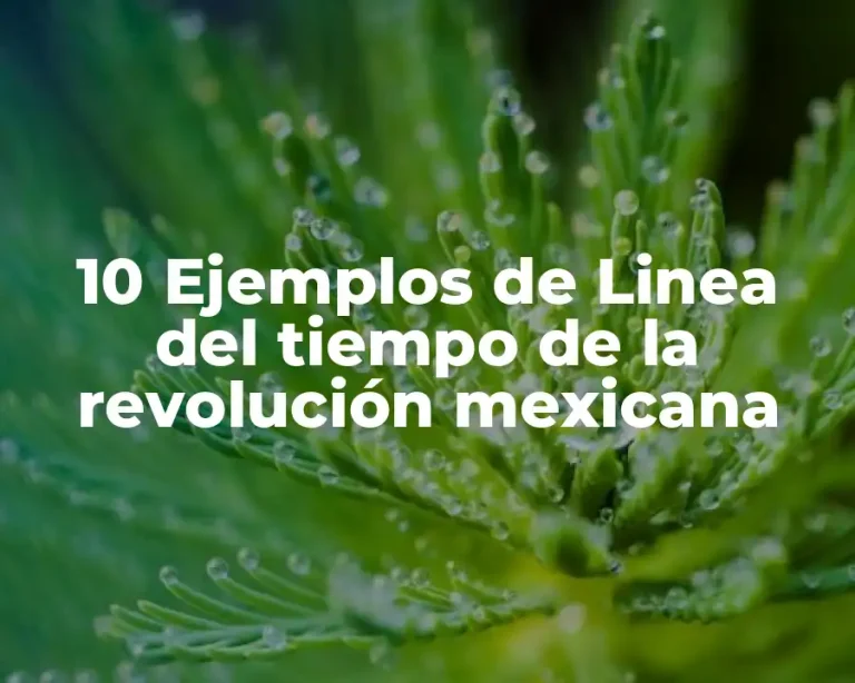10 Ejemplos de Linea del tiempo de la revolución mexicana