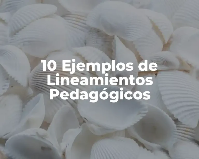 10 Ejemplos de Lineamientos Pedagógicos