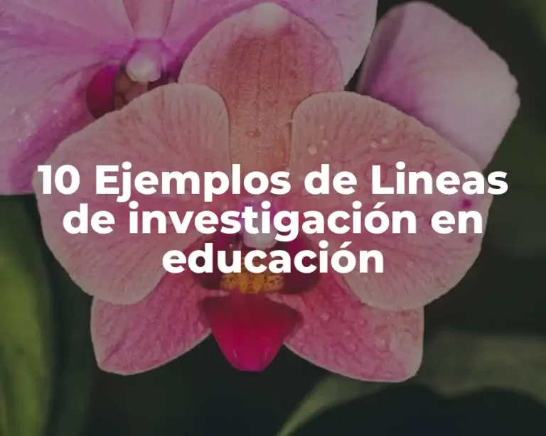 10 Ejemplos de Lineas de investigación en educación