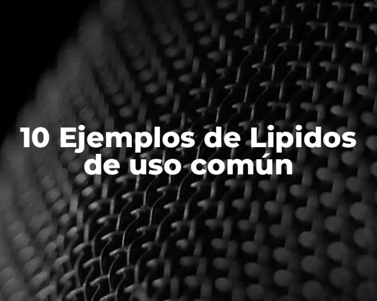 10 Ejemplos de Lipidos de uso común