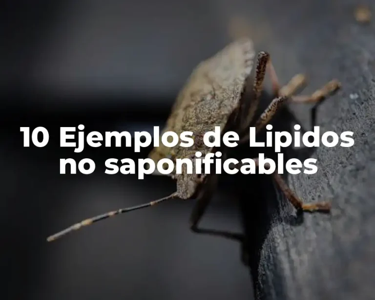 10 Ejemplos de Lipidos no saponificables